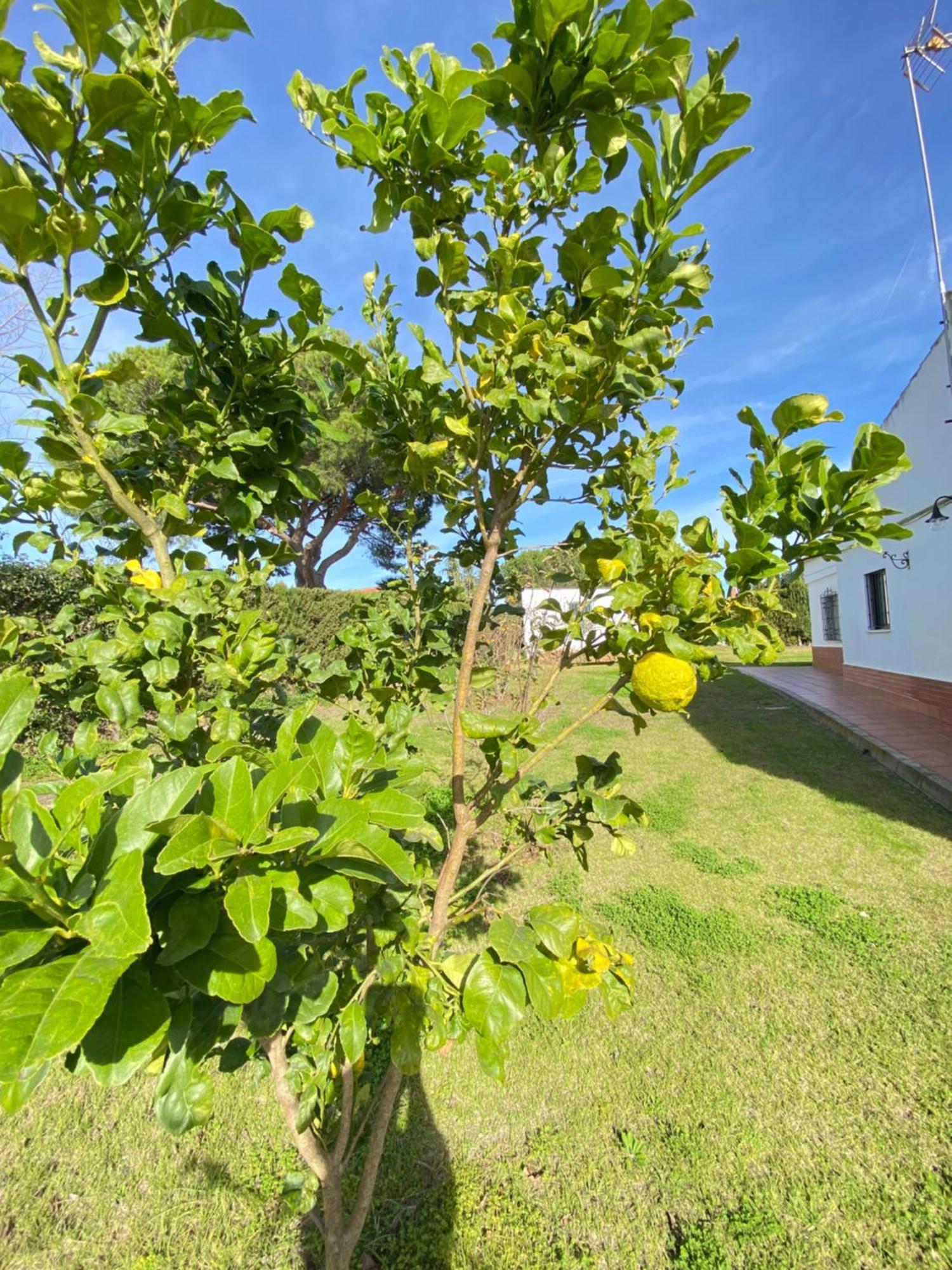 Villa Lua Картая Екстериор снимка